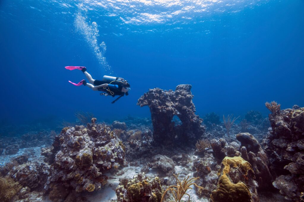 Female diver exploring reefs, Curacao